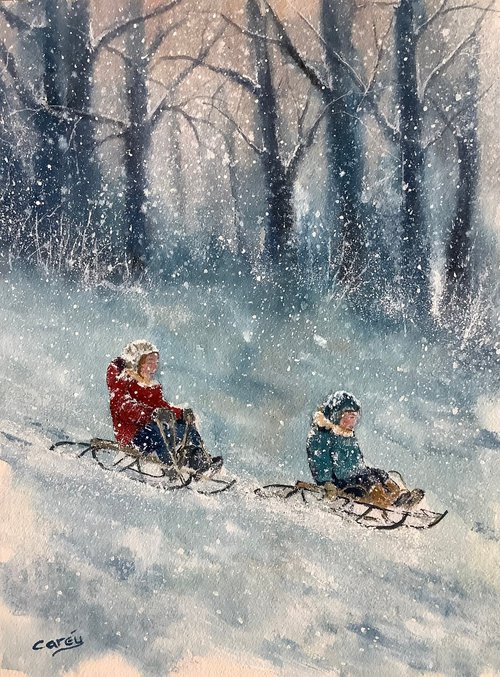Winter sledging by Darren Carey