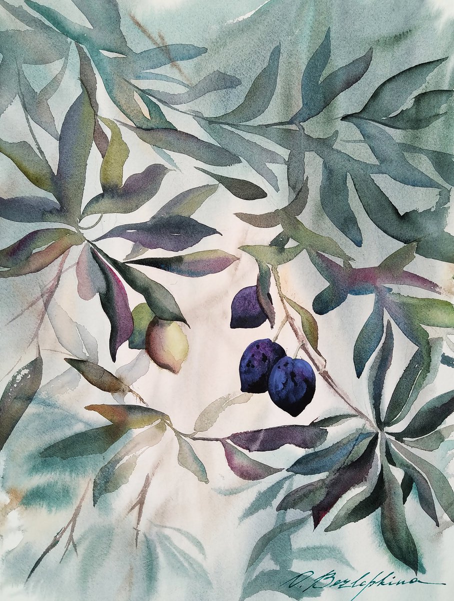 Olives by Olga Bezlepkina