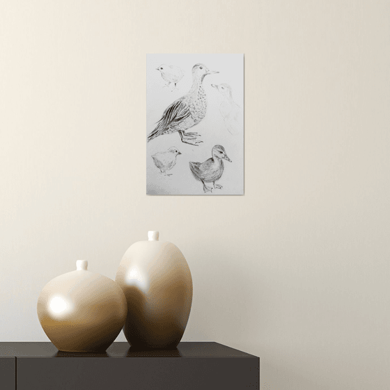 Birds. Original pencil drawing.