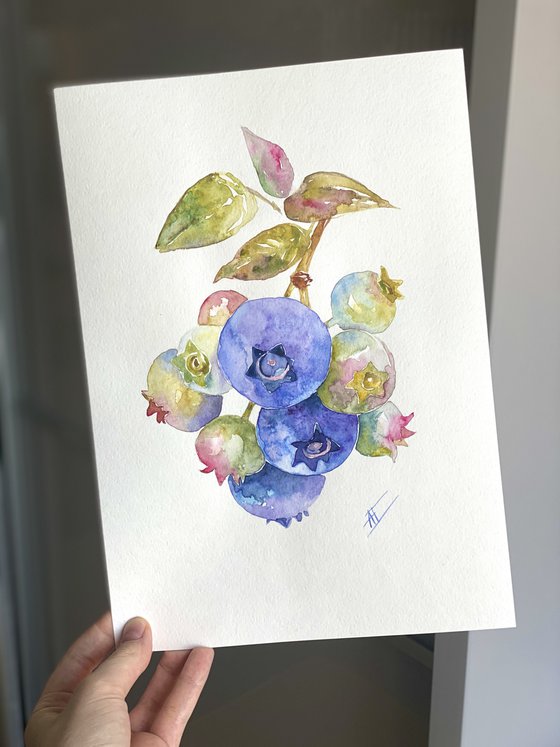 Watercolor blueberry on a branch illustration with green leaves