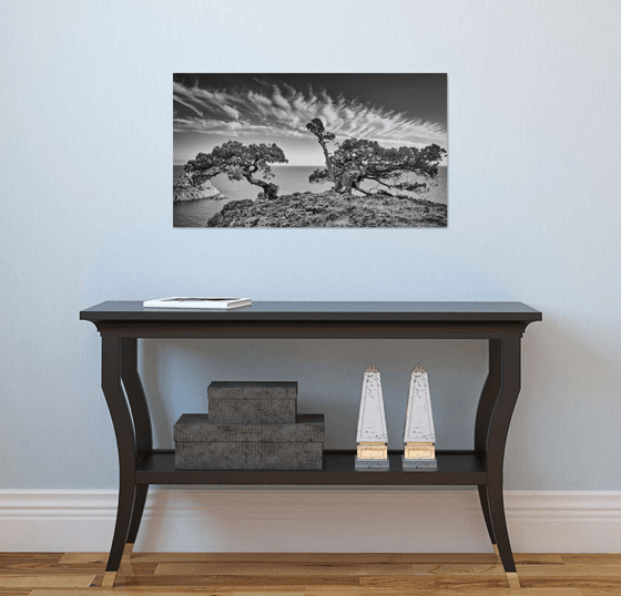 Guardians of the Cliff