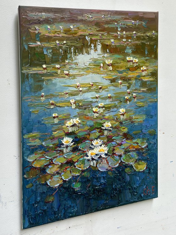 "Water lilies"