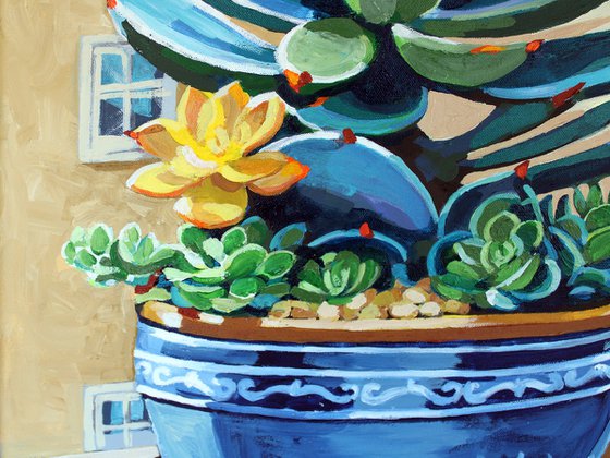 Cactus Flower