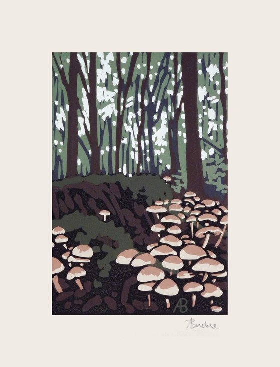 Stoke Wood Mushrooms