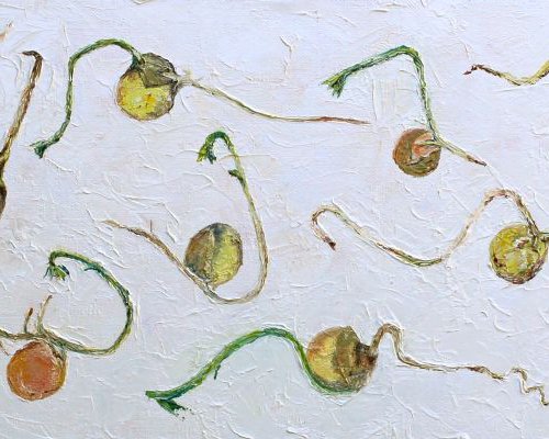 Germination 2 by Laura Gompertz