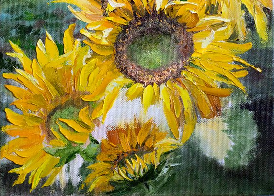 "SUNFLOWER FIELD"