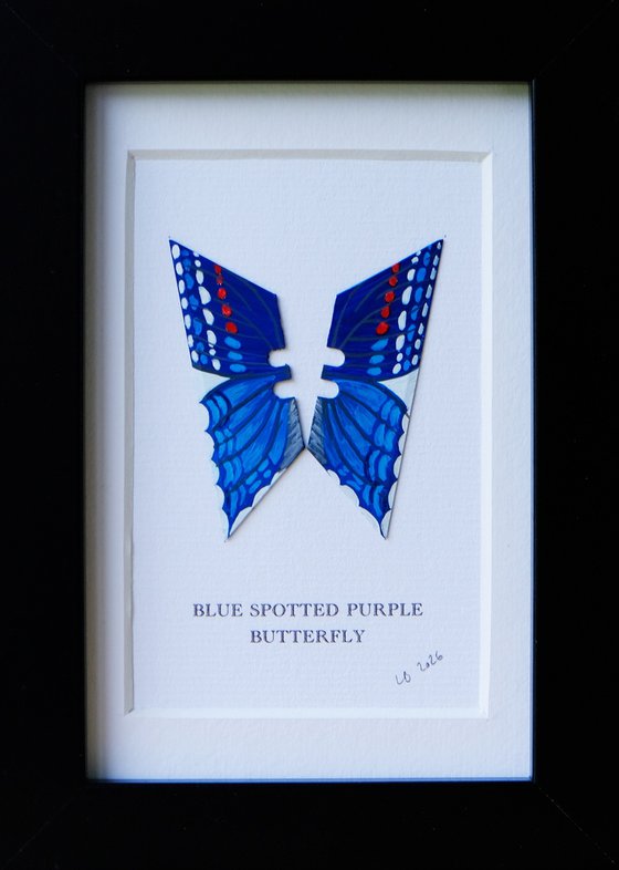 Blue-spotted Purple Butterfly