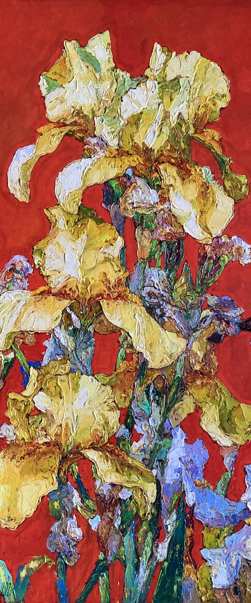 Irises on a red background. by Andriy Vutyanov