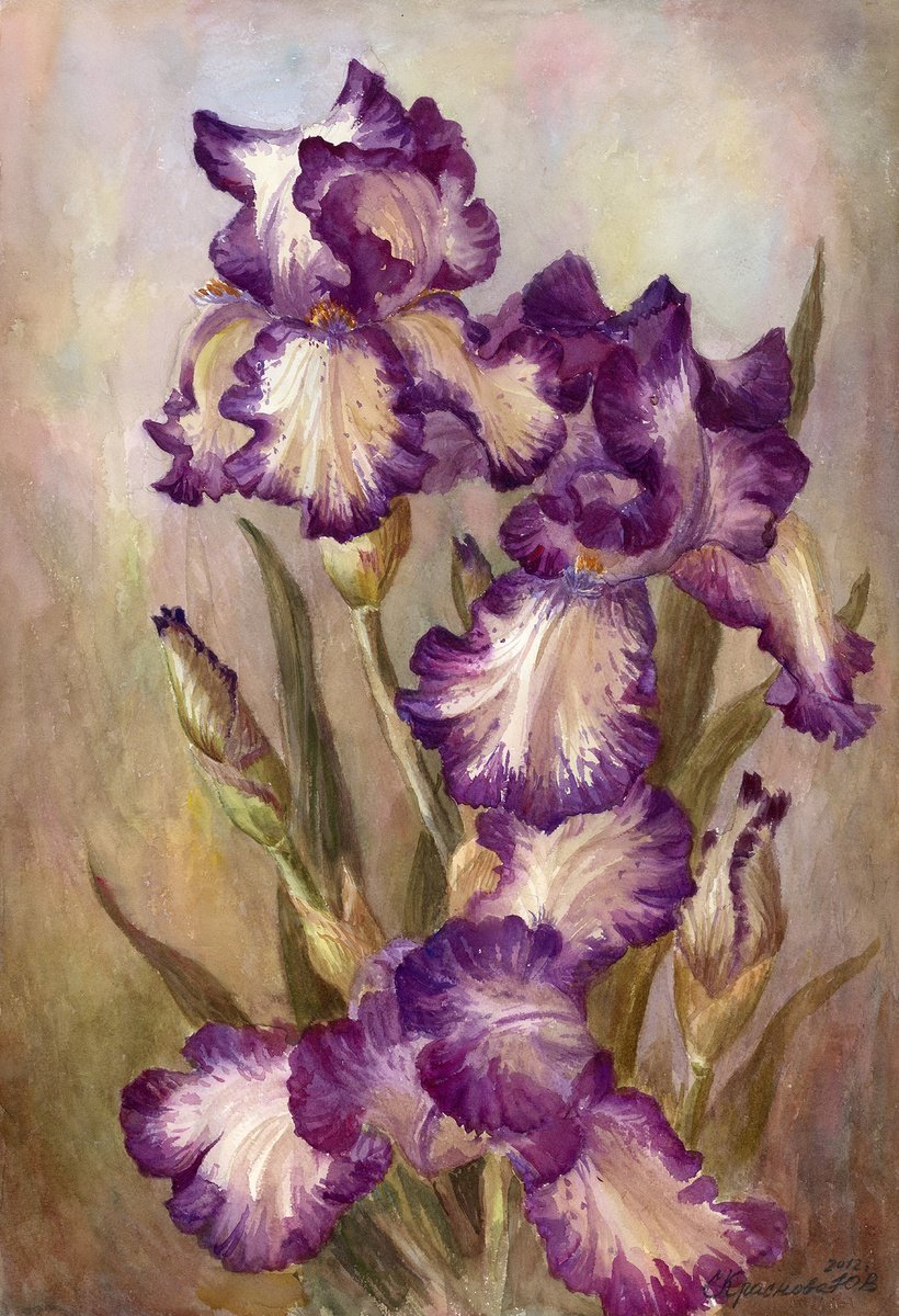 Photorealistic Botanical Watercolour By Yulia Krasnov, 15 X 22", Terry Irises, Original Artwork