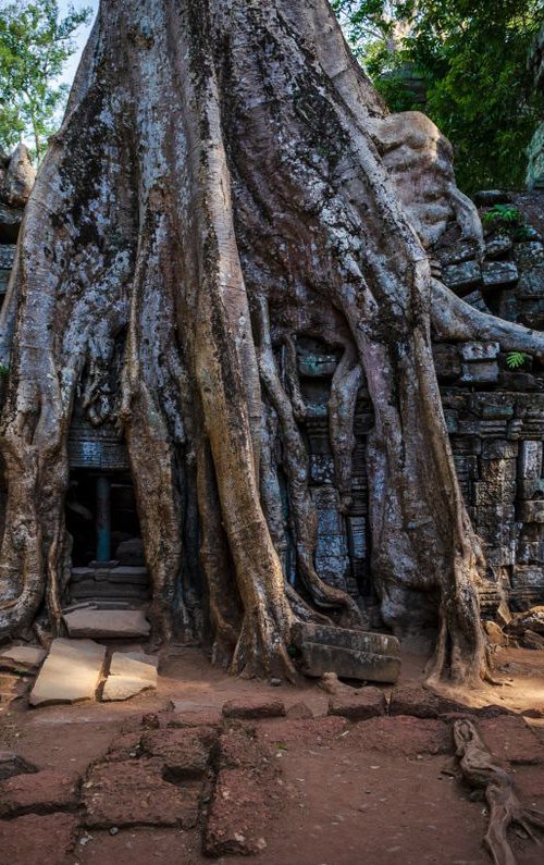 Angkor Series No.1 - Signed Limited Edition by Serge Horta