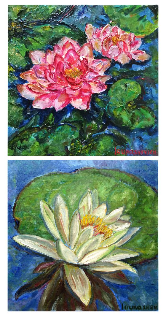 Waterlilies