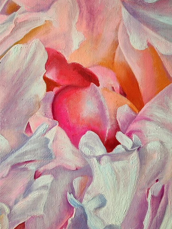 "Lace of petals."  peony  flower  liGHt original painting  GIFT (2022)