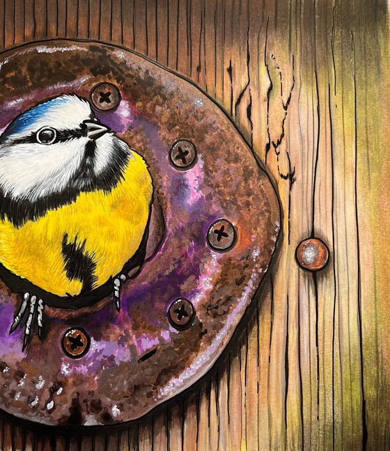 Birdhouse bluetit