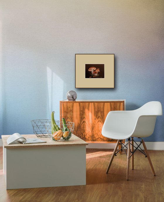 Family of mushrooms at Dusk