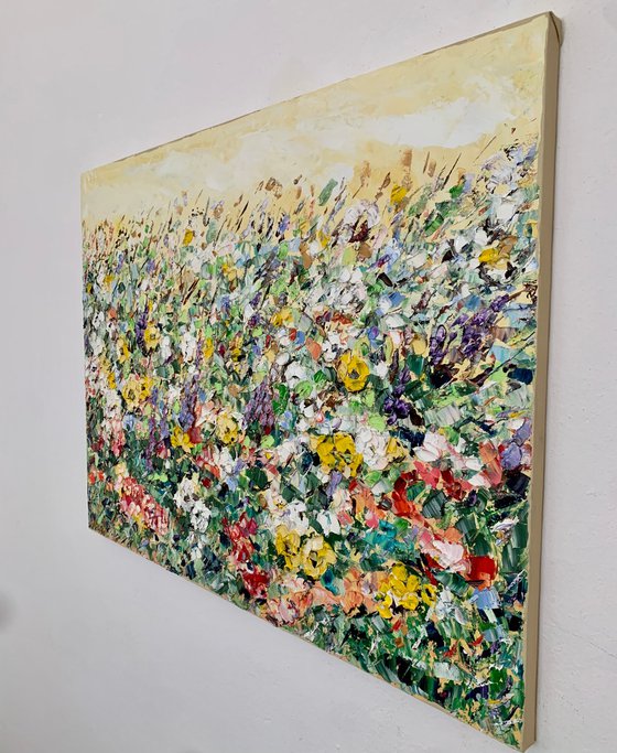 Colorful summer Field