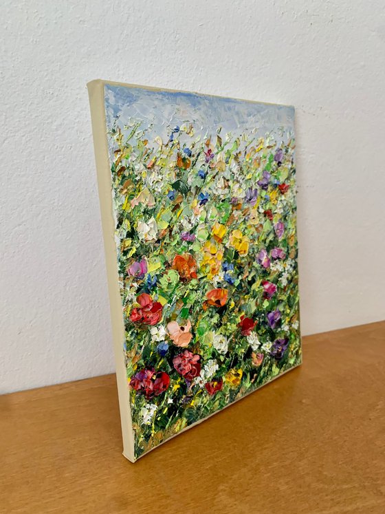 Colorful summer flowers