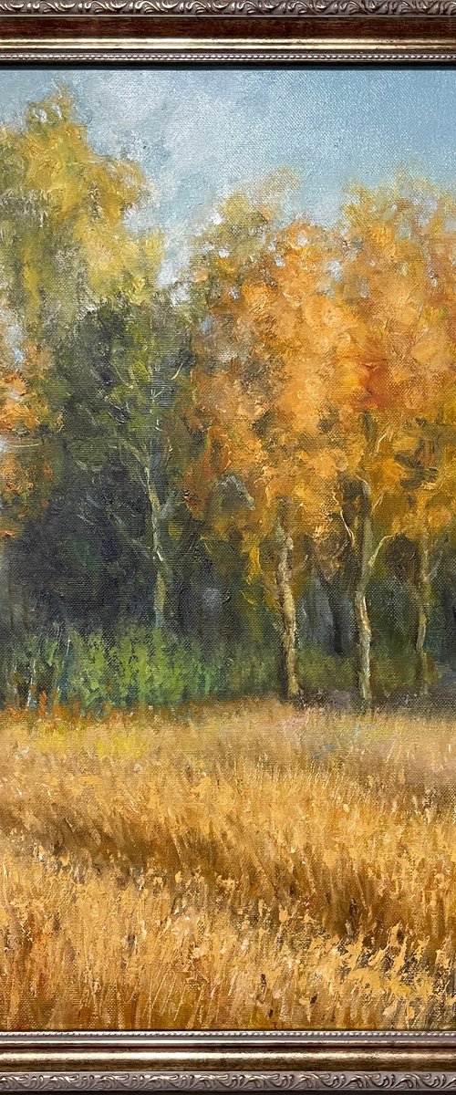 Landscape painting oil by Samira Yanushkova
