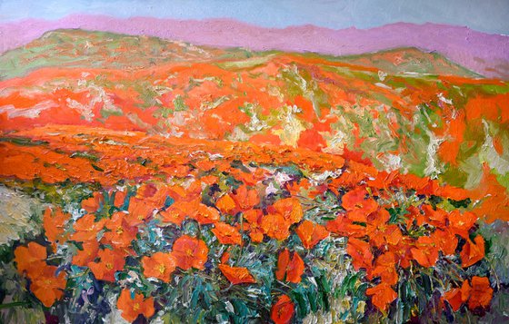 California Poppies in The Mountains, Superbloom Landscape