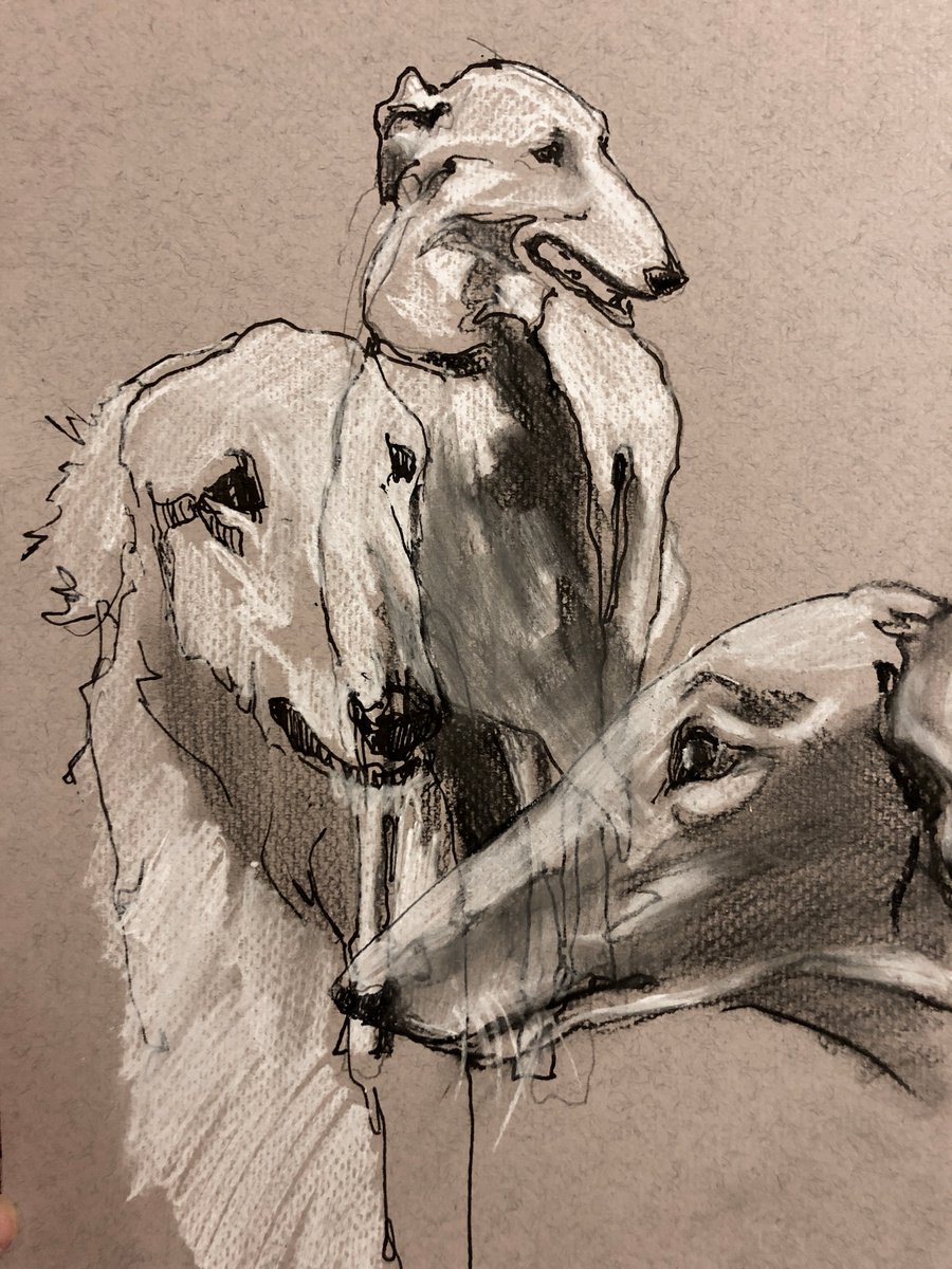 Borzoi 2 by OLGA BELOBORODOVA