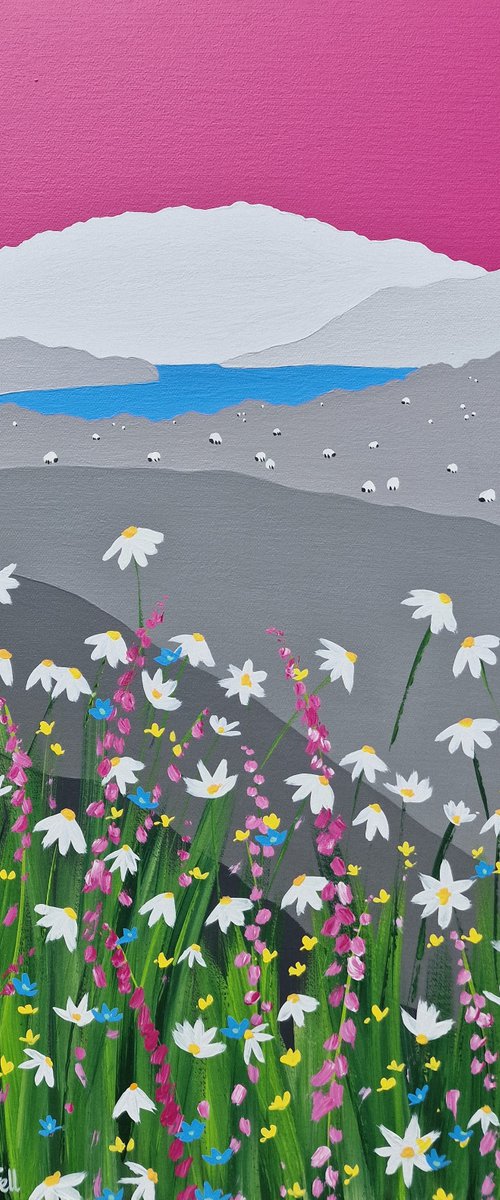 Daisies under Loughrigg Fell, The Lake District by Sam Martin