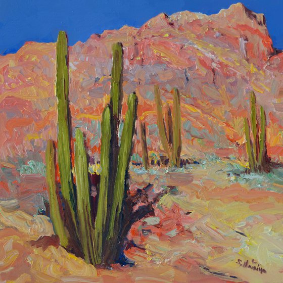 Landscape with a Cactus