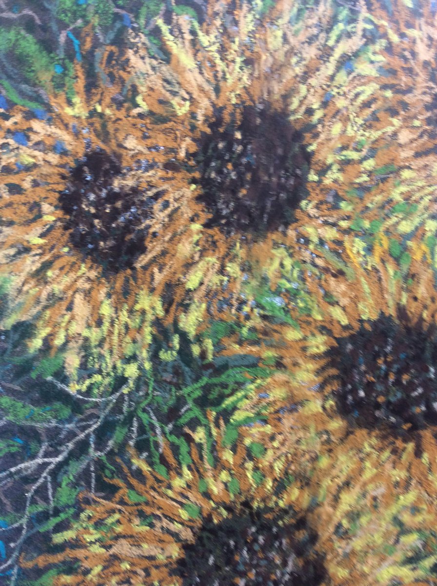 Sunflowers 🌻 by Gwen Fleming