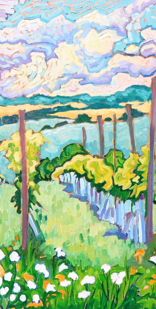 Rutland Vineyard by Mary Kemp