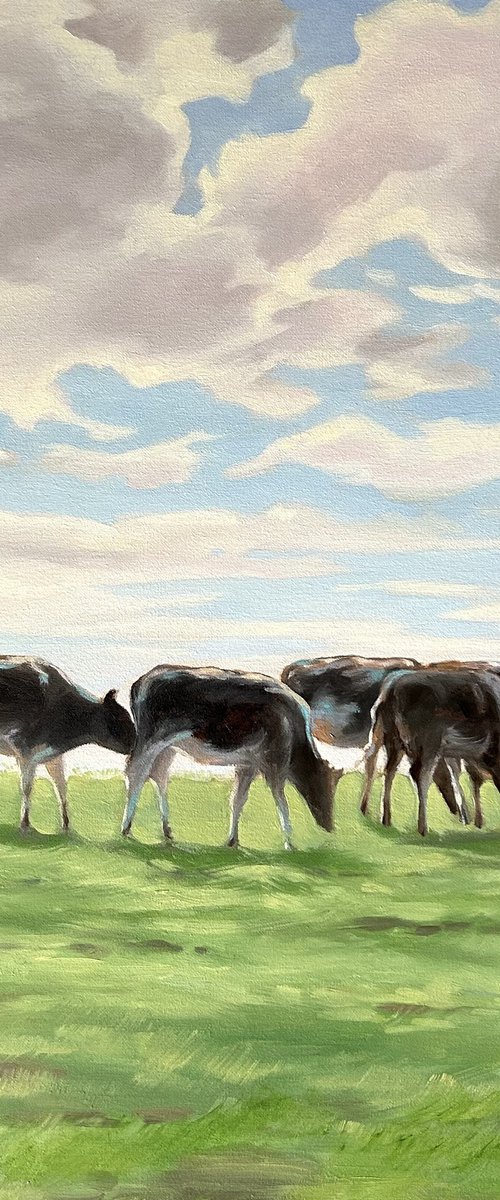 Cows in a field by Alina Karpova