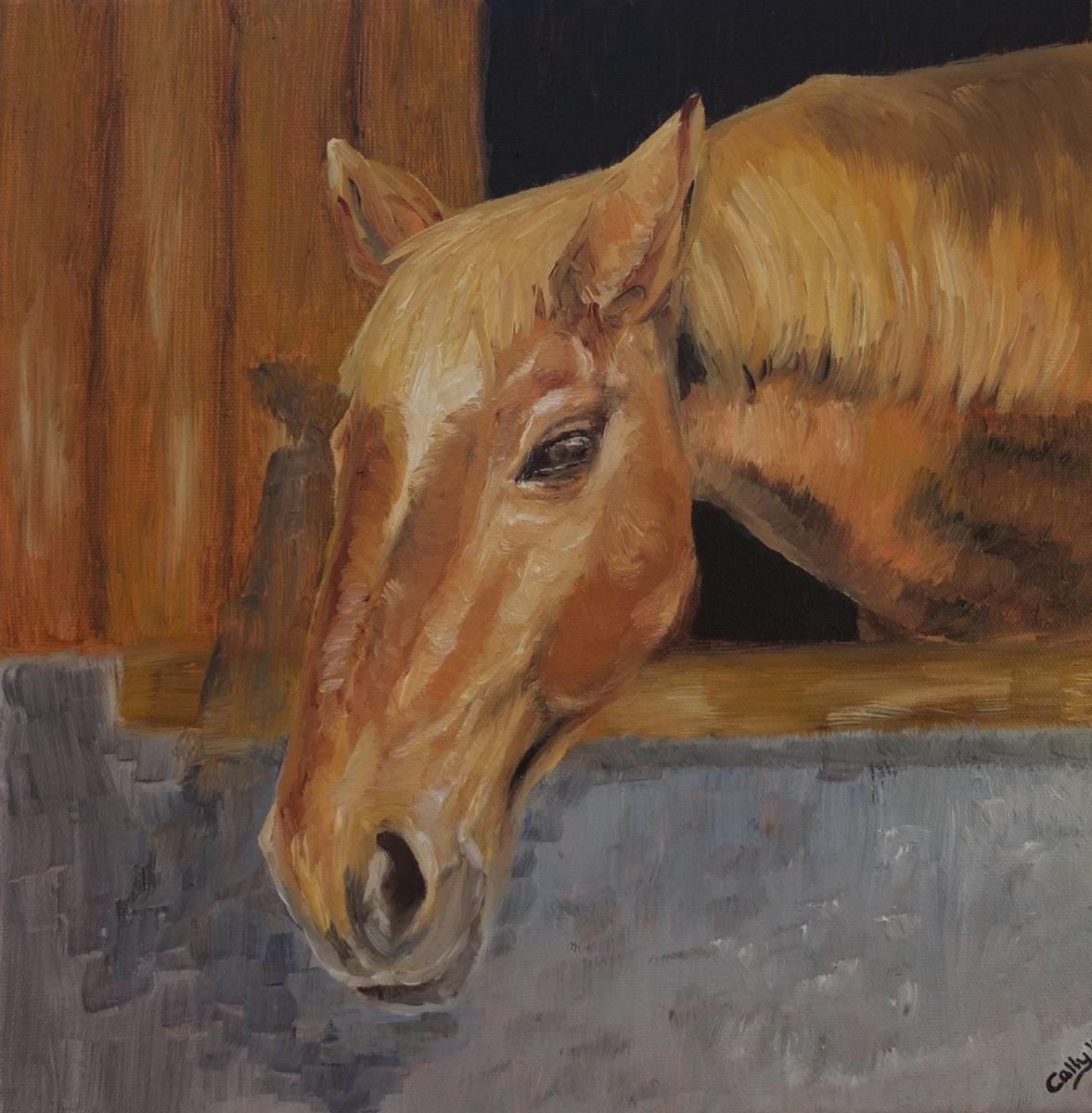 Portrait of a horse by Cally Lawson