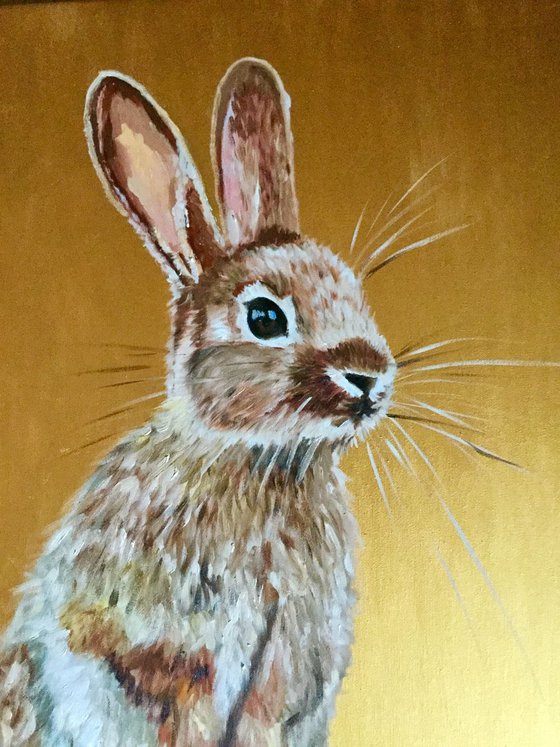 Honey bunny 5