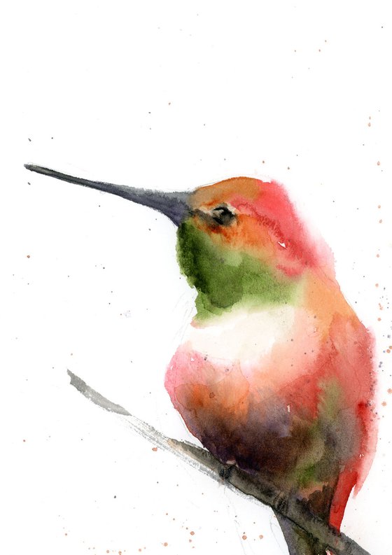 Hummingbird sitting on a branch