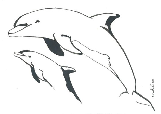 Dolphins I Animal Drawing