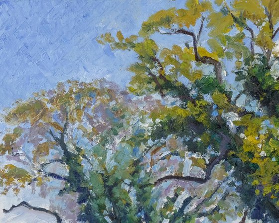 May Oaks, Coxwold