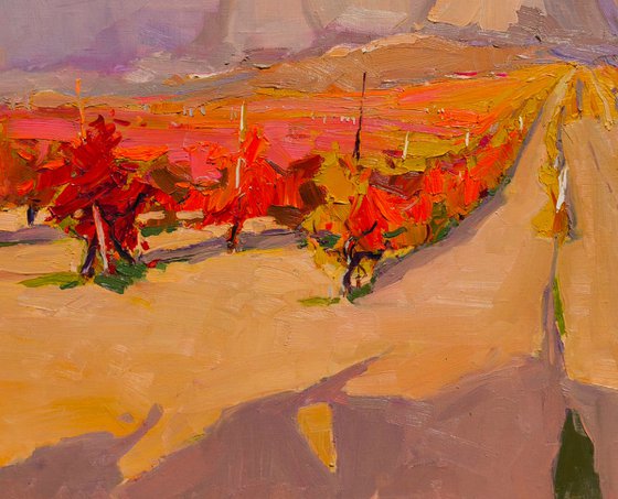 Crimean Vineyards
