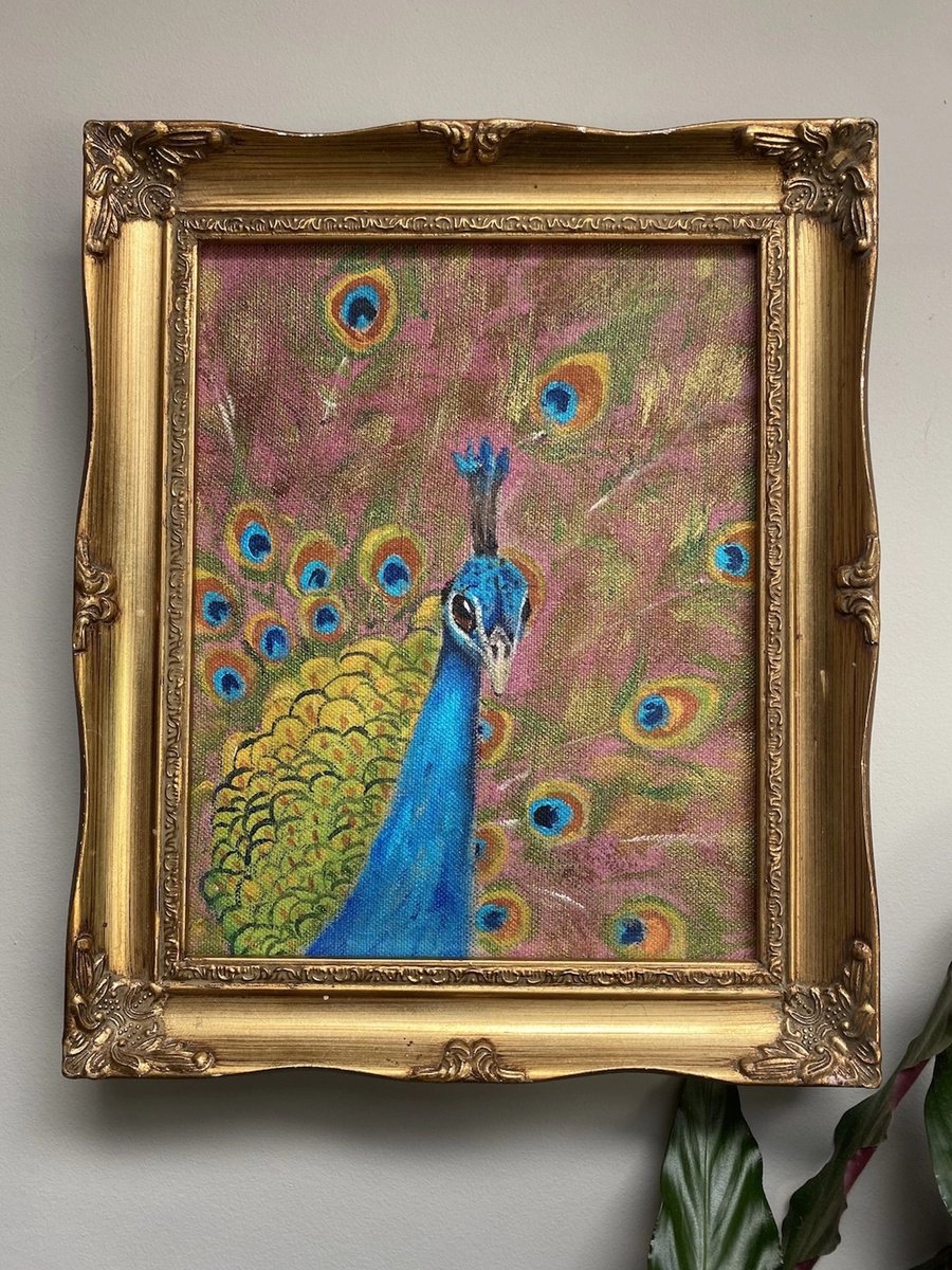 Expressive Animal Painting By Charlotte Gerrard, 10 X 12, Peacock On Pink, Original Artwork