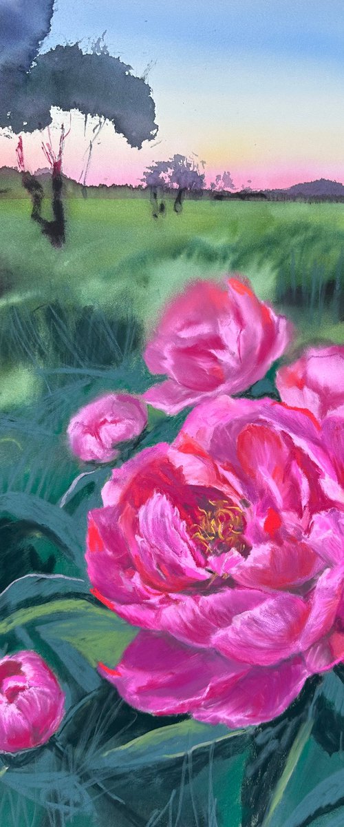 Peonies at Sunset by Alla Semenova