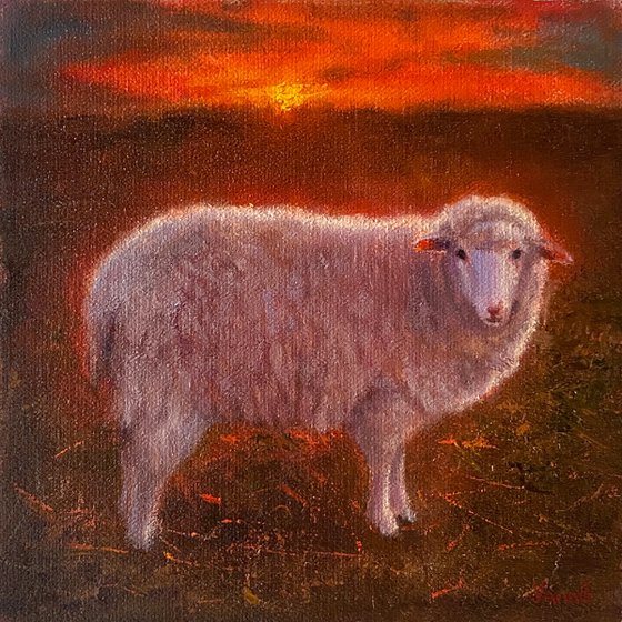 Sheep during sunset. Original oil painting.