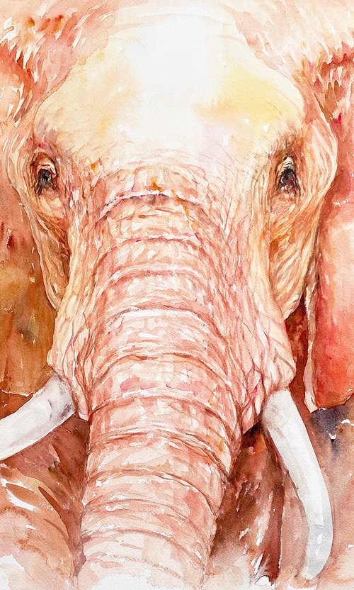 Gentle Gilbert Elephant by Arti Chauhan
