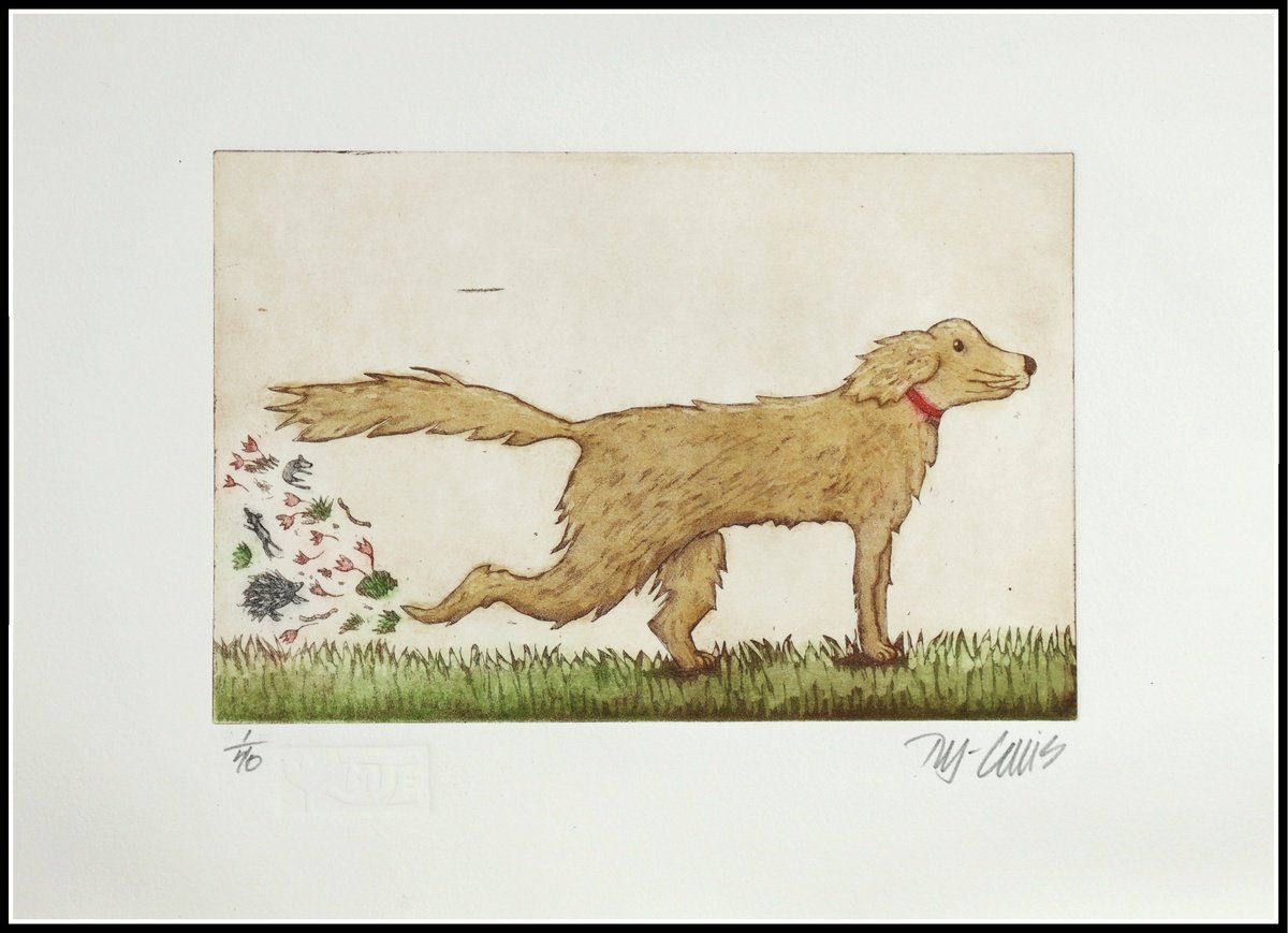 Illustrative Animal Etchings & Engravings By Mariann Johansen-Ellis, 13 X 10", Goldie, Original Artwork