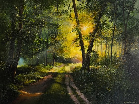 Sunlit Forest Path