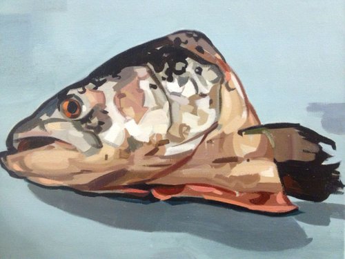 Fish Head by Matthew Stutely
