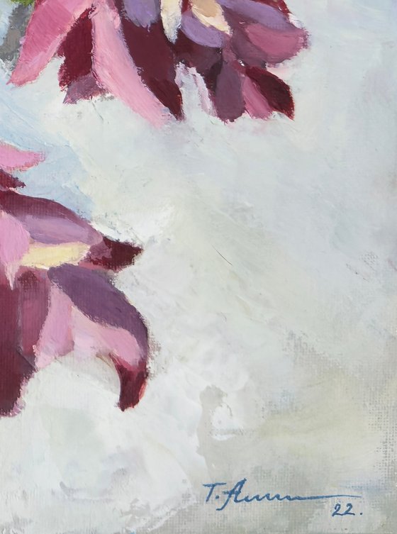 Spring Flowers