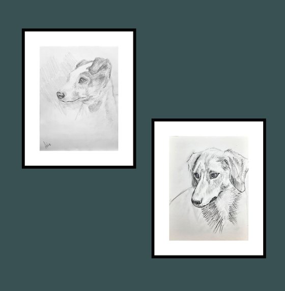 Set of two Russel Terriers