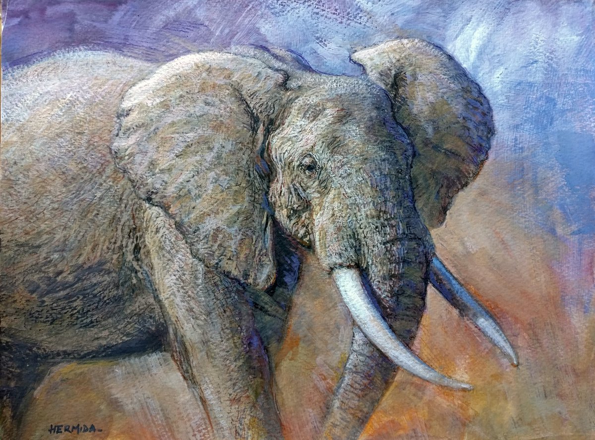 Elephant by Gabriel Hermida