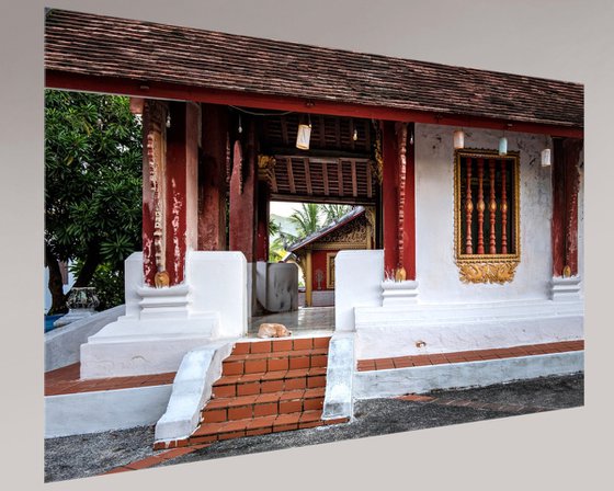 Temple Dogs of Laos No.6