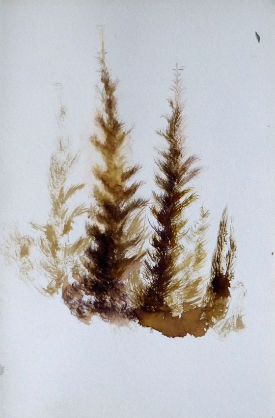 Pine Wood Study 5, 24x16 cm