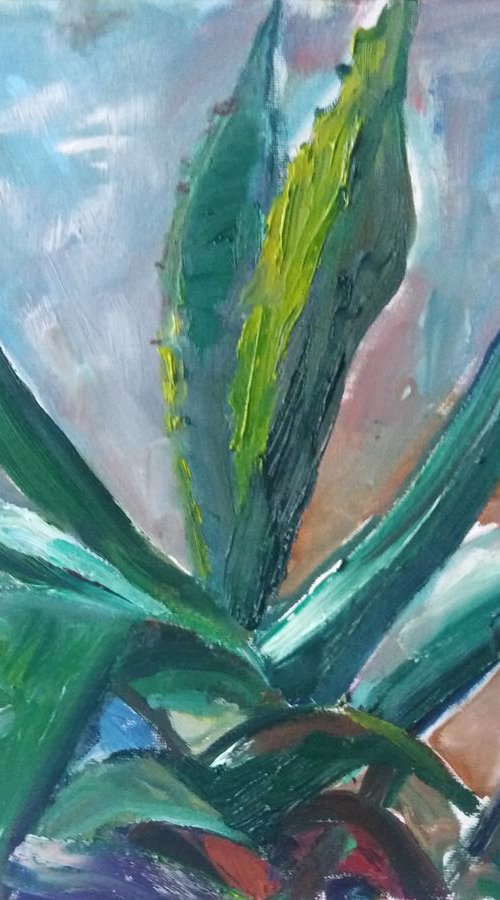 AGAVE by Oxana Raduga