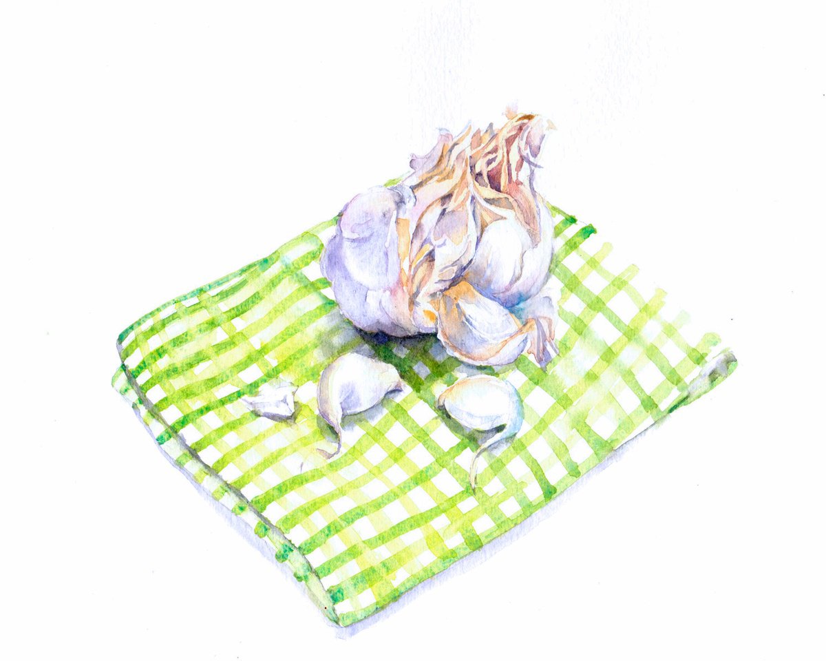 Garlic on green gingham by Anjana Cawdell