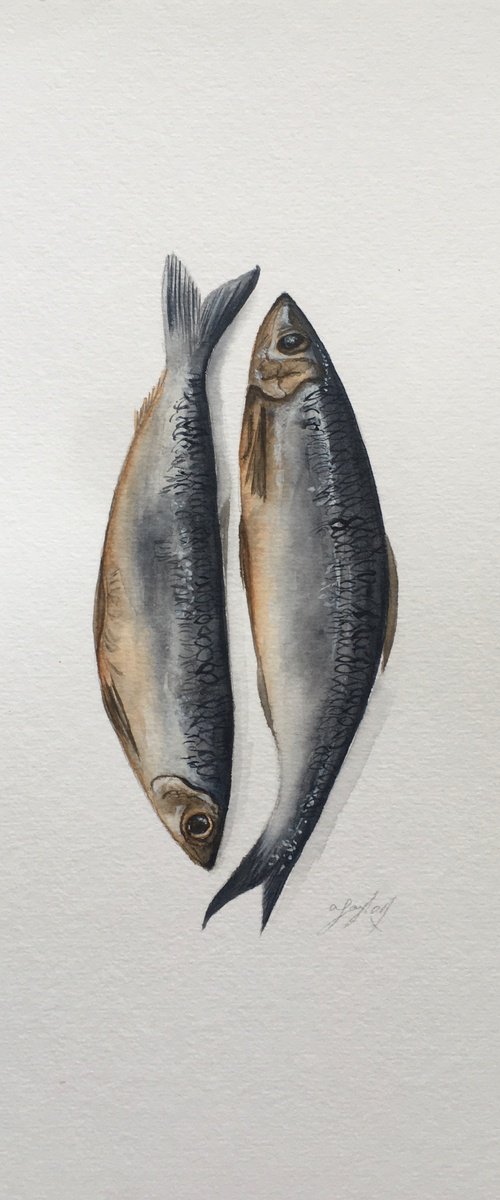 Sardines by Amelia Taylor
