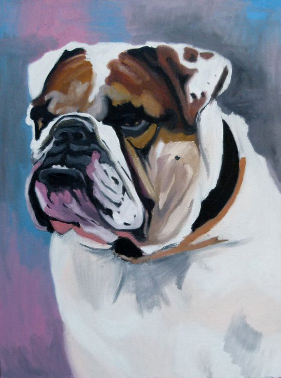 bulldog